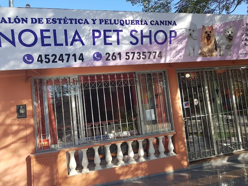 LA CASA DEL PELUQUERO CANINO EN MENDOZA
