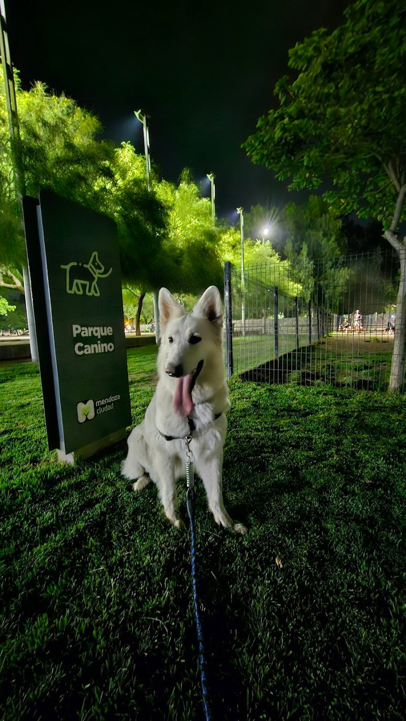 Espacio Canino del Parque Central