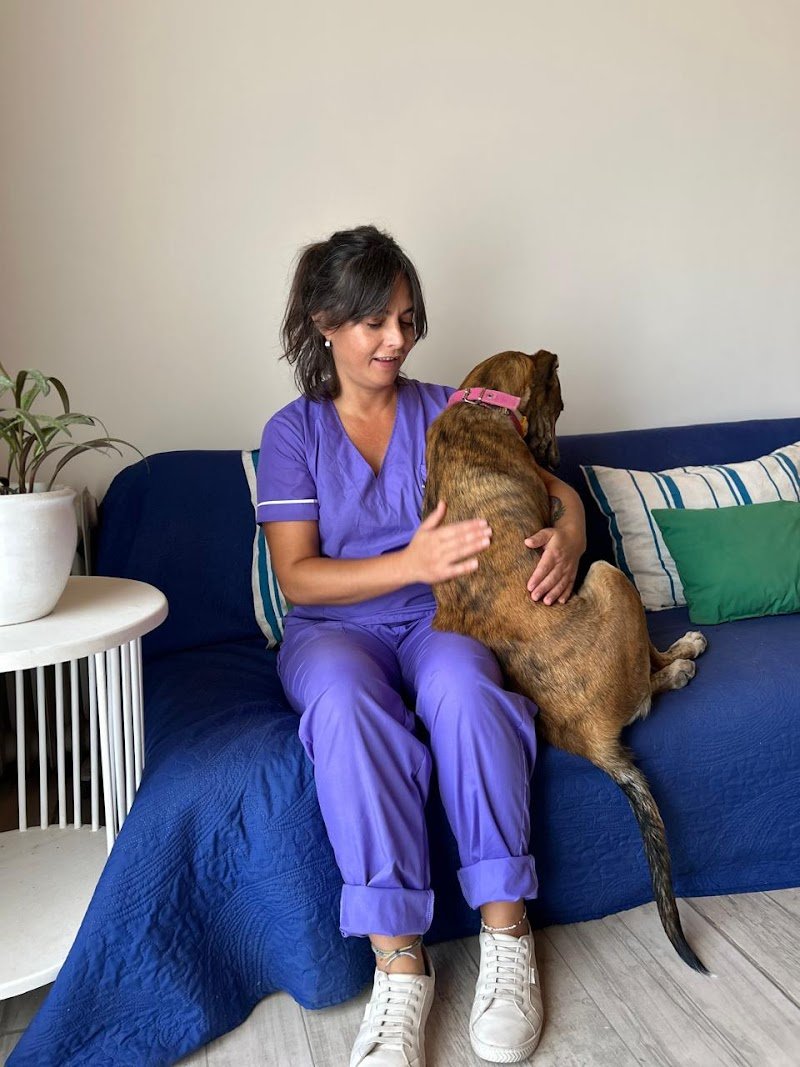 Veterinaria Dra. Daniela Barrientos
