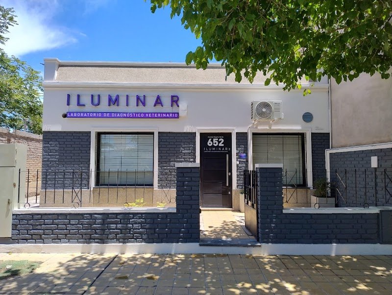 Laboratorio Iluminar