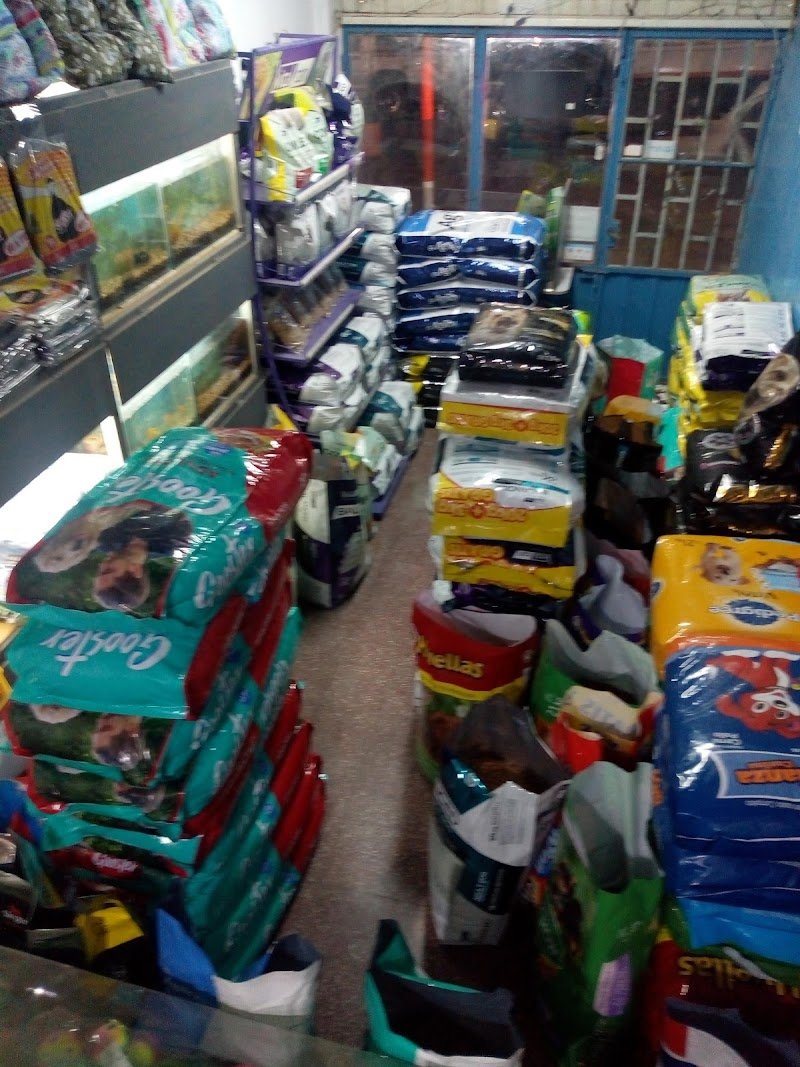 Pet Shop Amore Mio