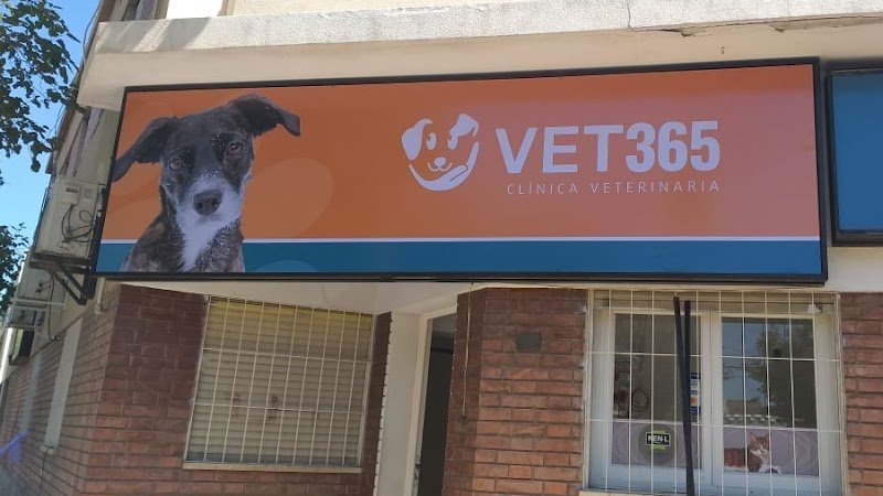 Veterinaria VET365
