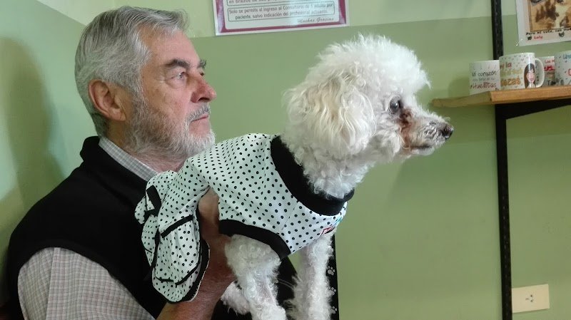 Clínica Quirúrgica Veterinaria Dr. Iannizzotto Gustavo