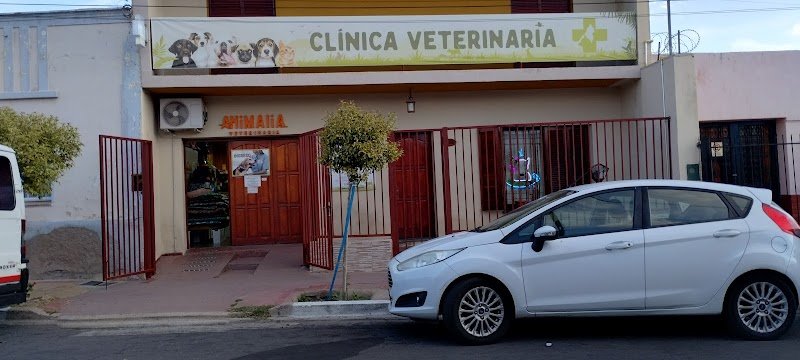 Clínica Veterinaria Animalia