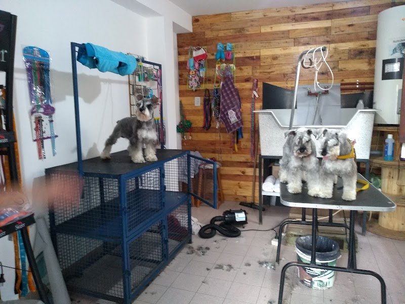 WAU! Peluquería Canina