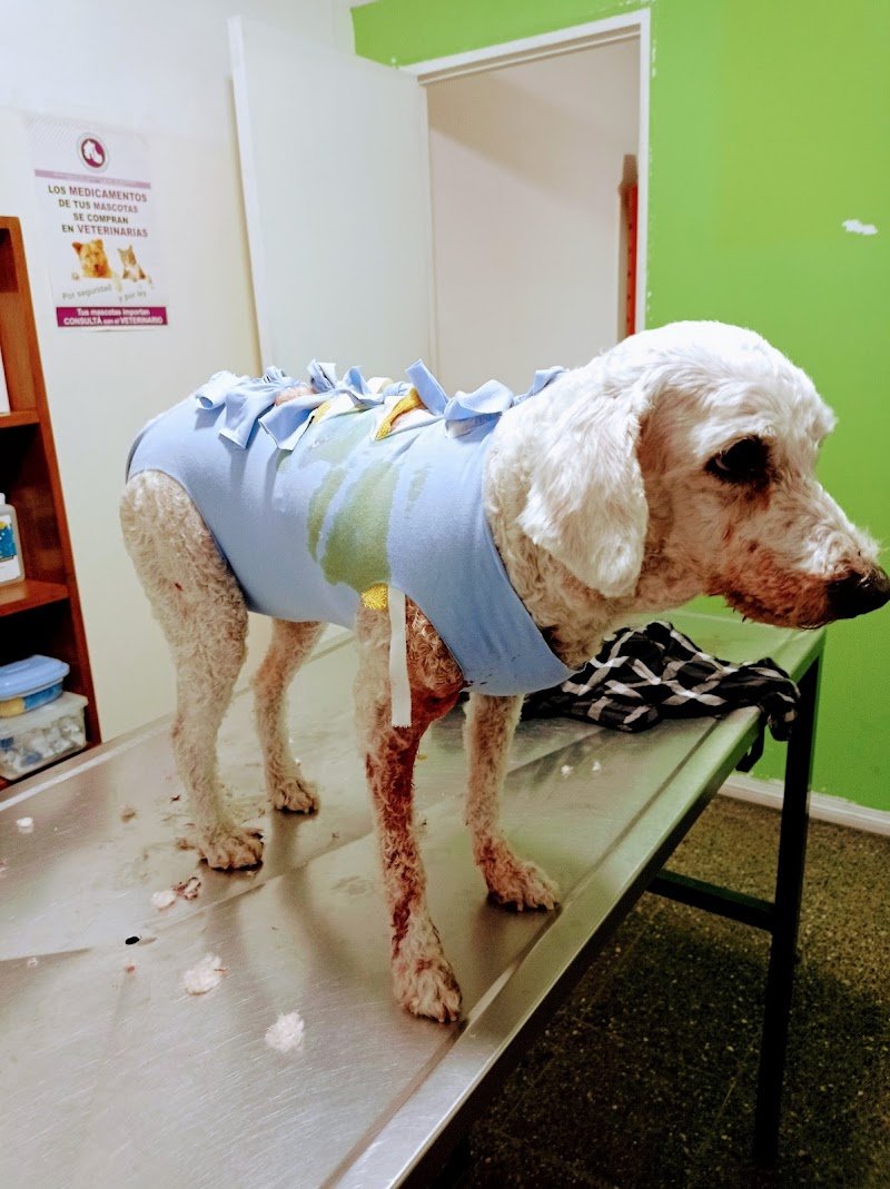 Veterinaria San Pedrito