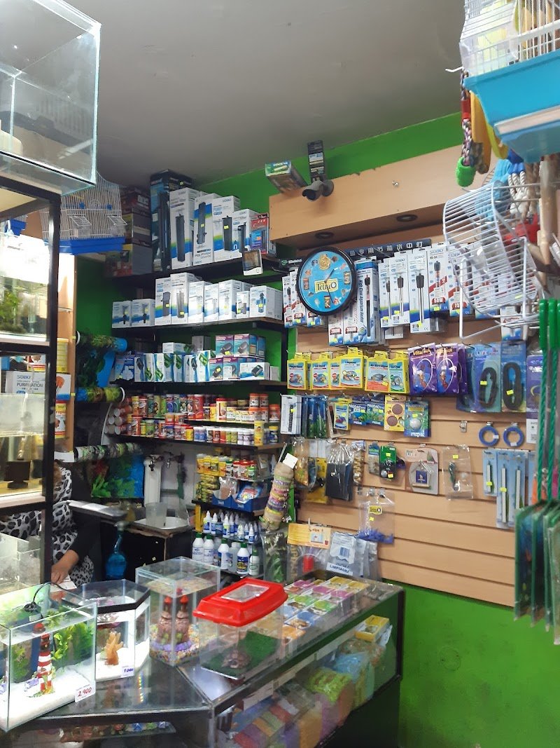 Acuario y Pet Shop LUANA Aquarium