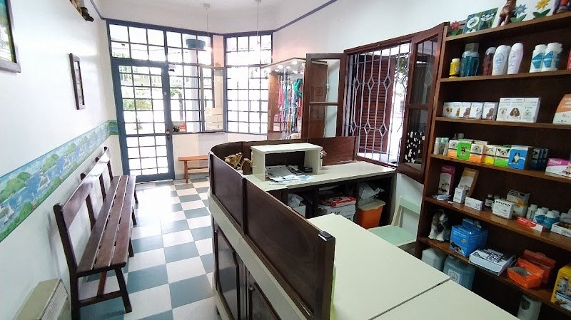 Veterinaria Homeopática Belotti