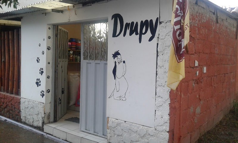 Petshop Drupy