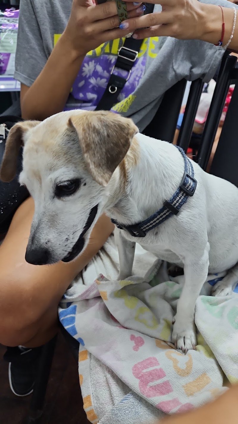 San Miguel Clinica Veterinaria
