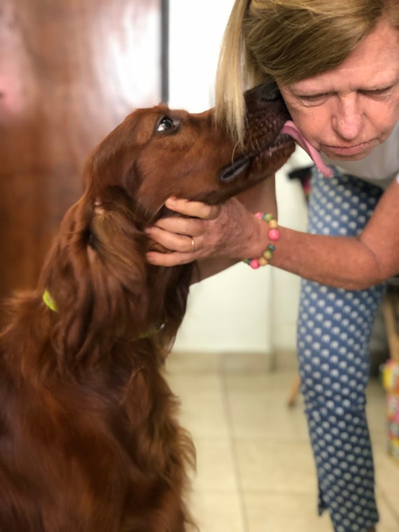 Veterinaria Puro Pelo