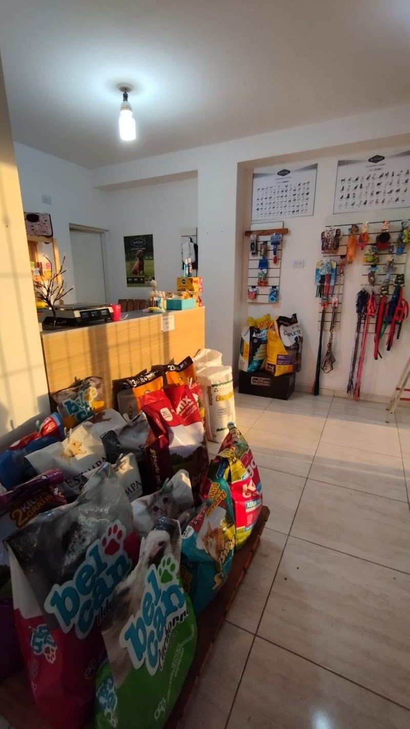 Juno’s Petshop
