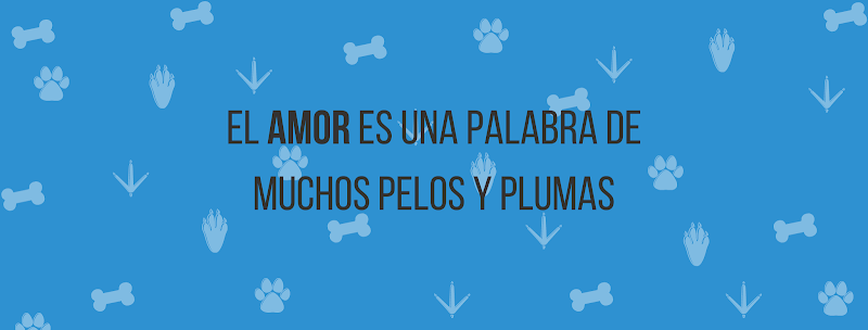Clínica Veterinaria del Norte