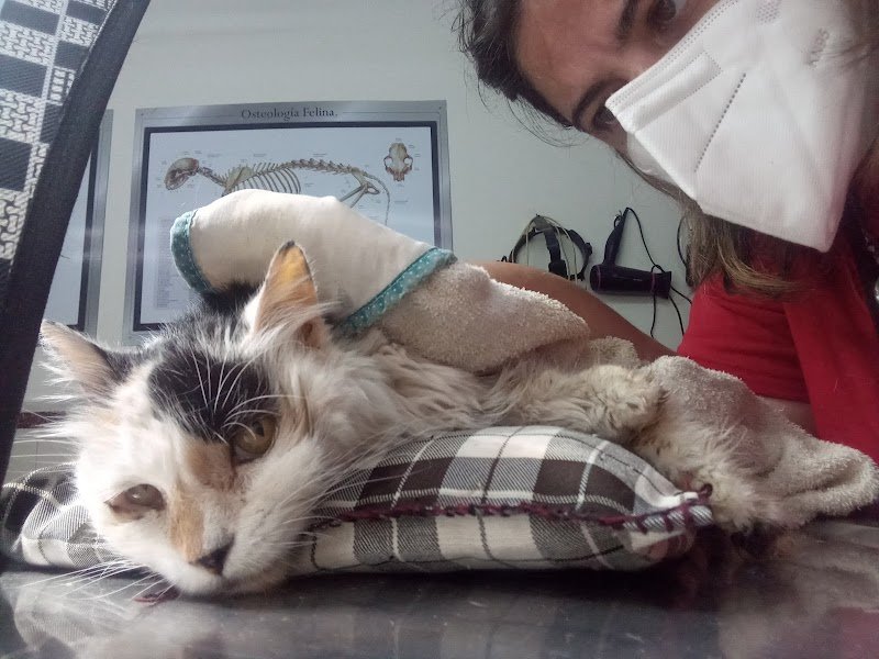 Clínica Veterinaria Arlequín