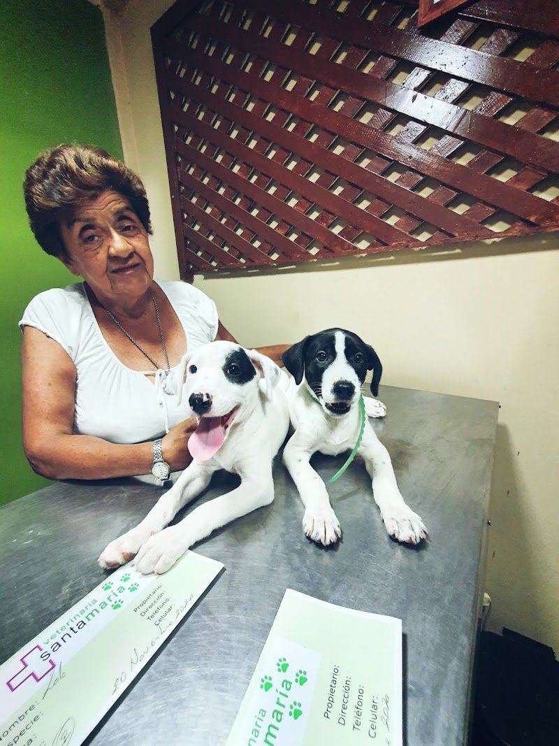 Veterinaria Santa María