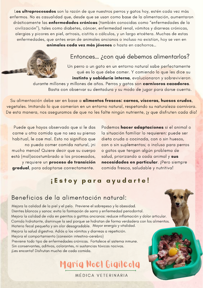 Veterinaria M. Noel Giaileola