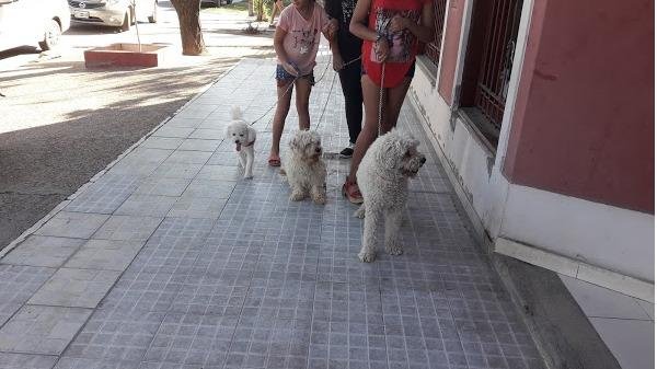 VETERINARIA LA CABAÑA