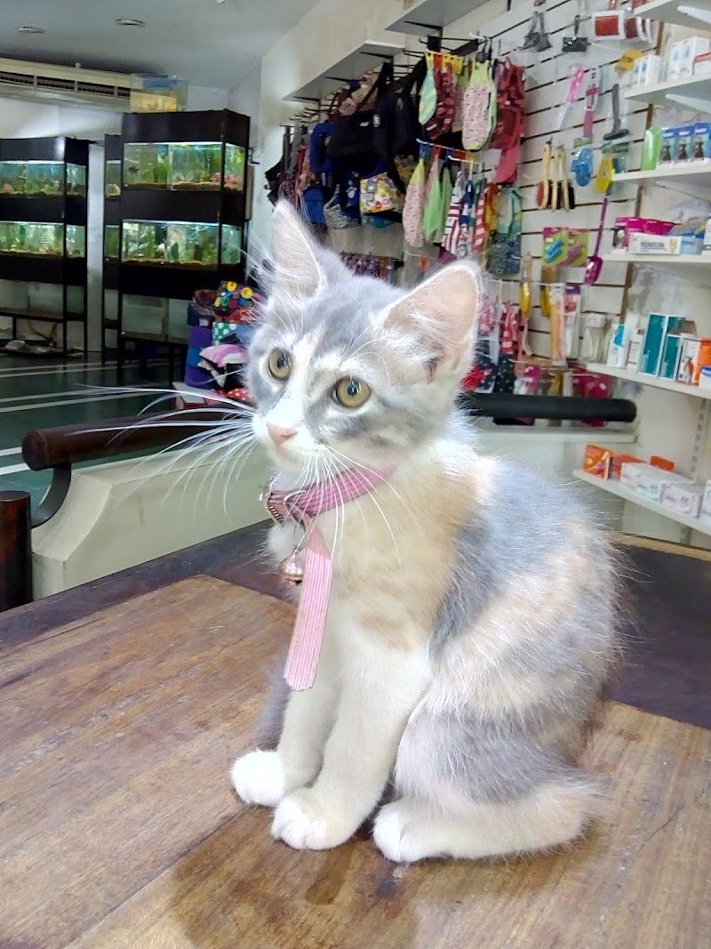 Veterinaria Mendoza