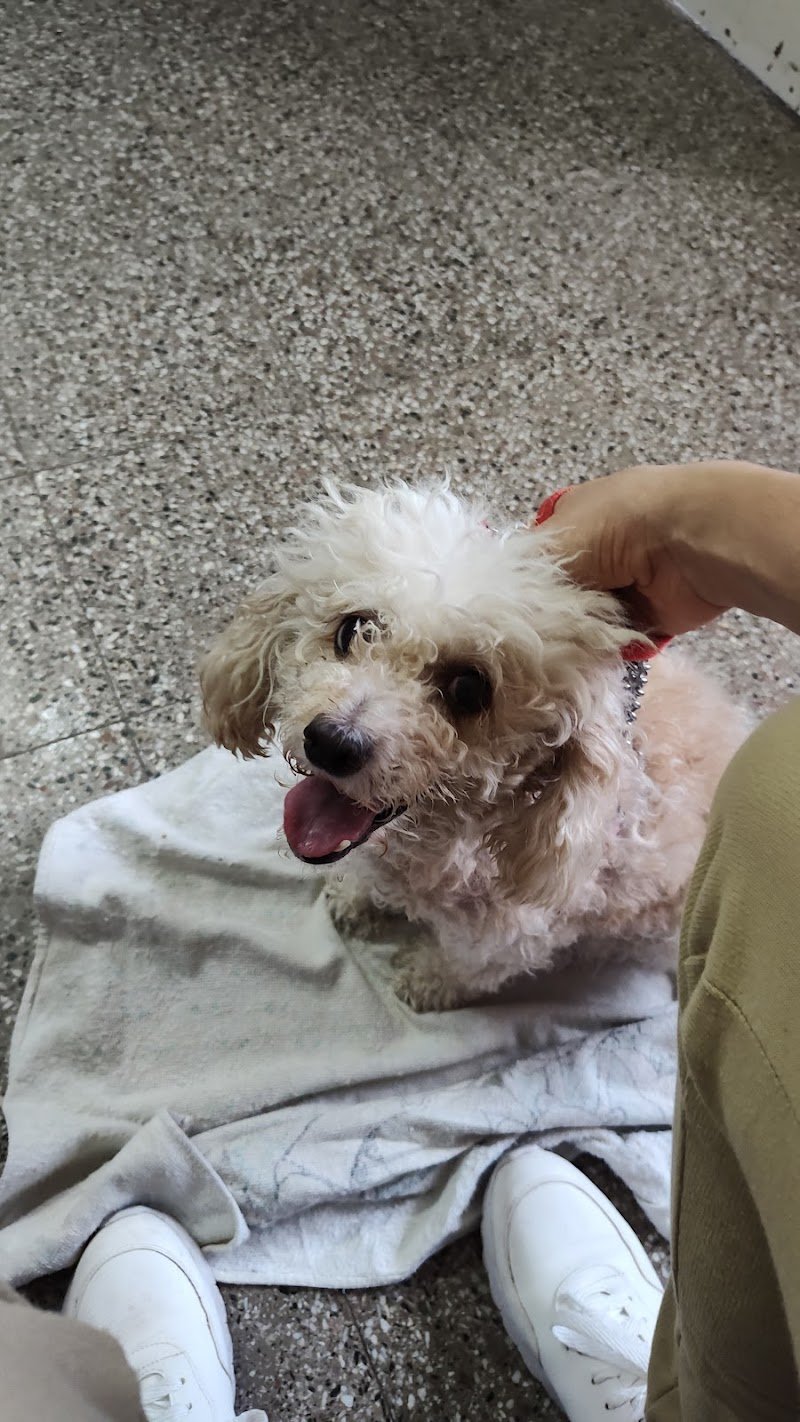 Rex Veterinaria
