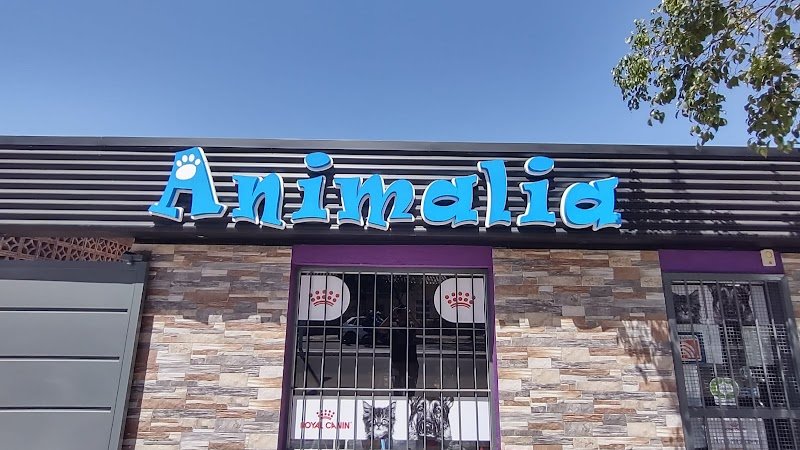 Animalia Veterinaria