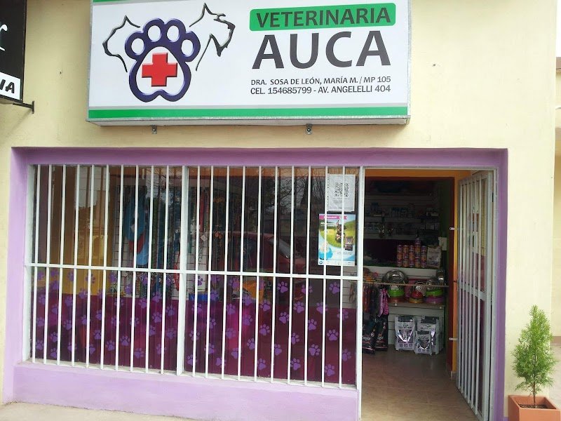 Veterinaria "Auca"