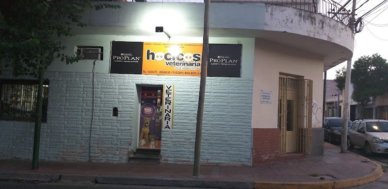 Veterinaria Hocicos