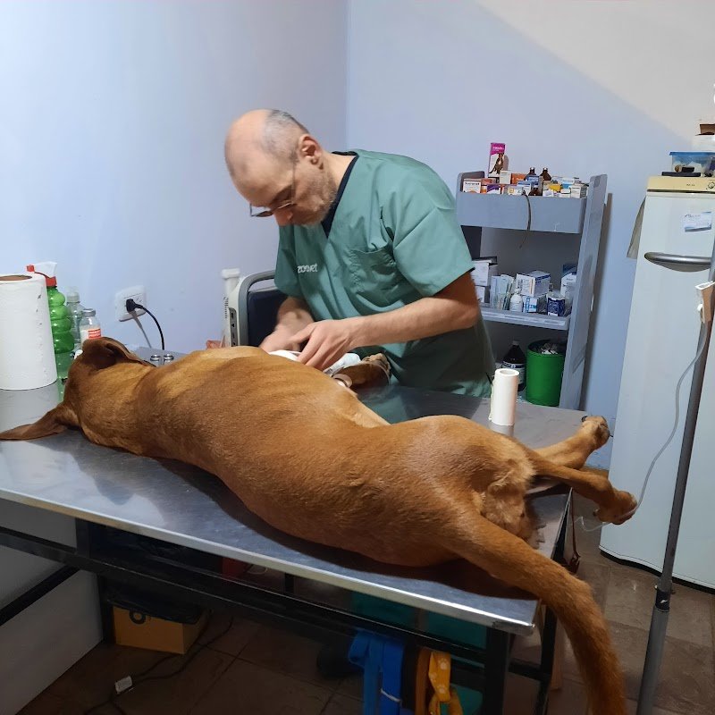 Clínica Veterinaria Doctor Vet & MichiVet