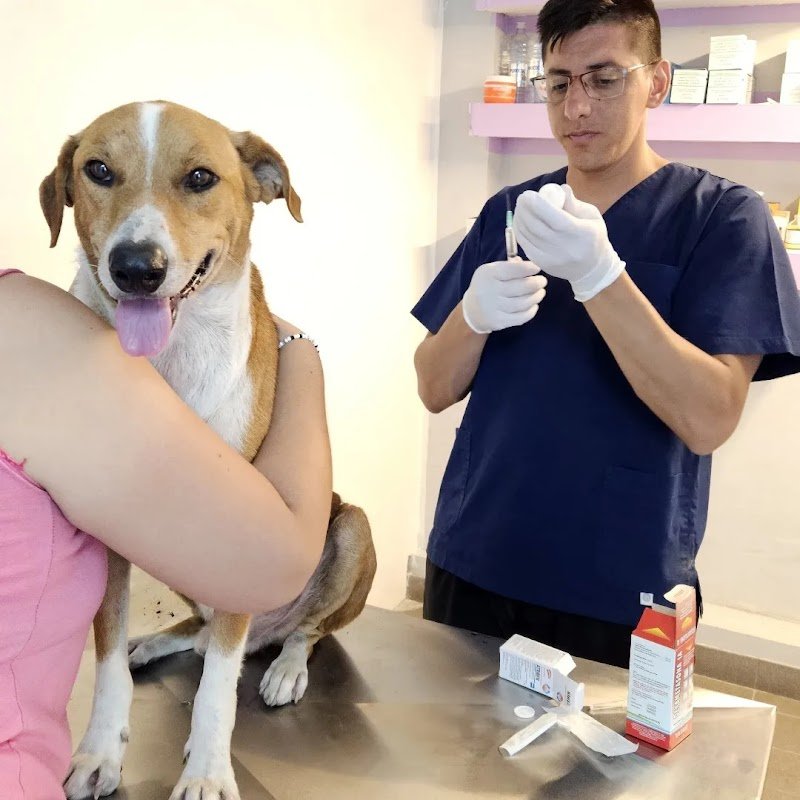 Veterinaria y Pet Shop - Tu Amigo Fiel