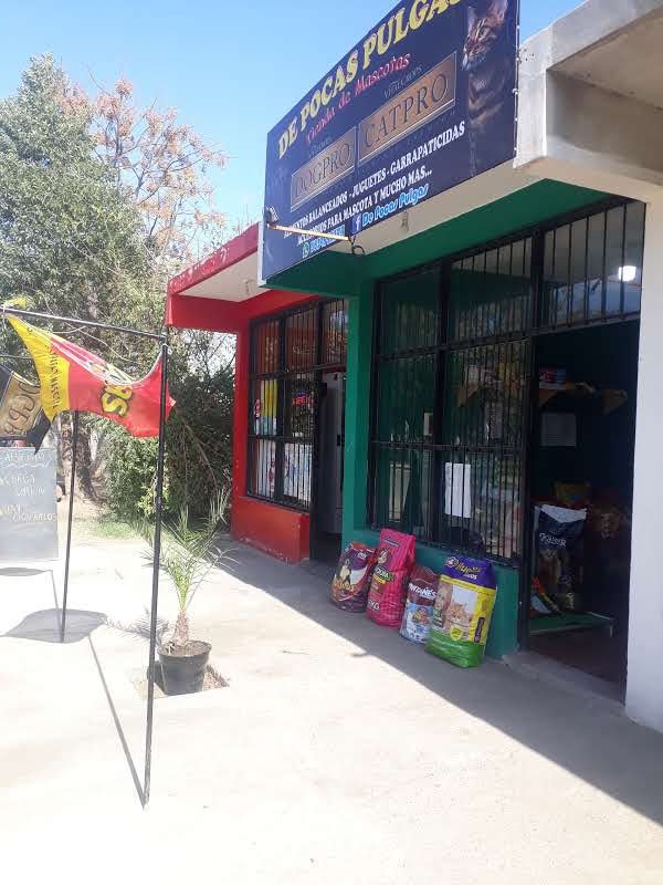 De pocas pulgas-pet shop