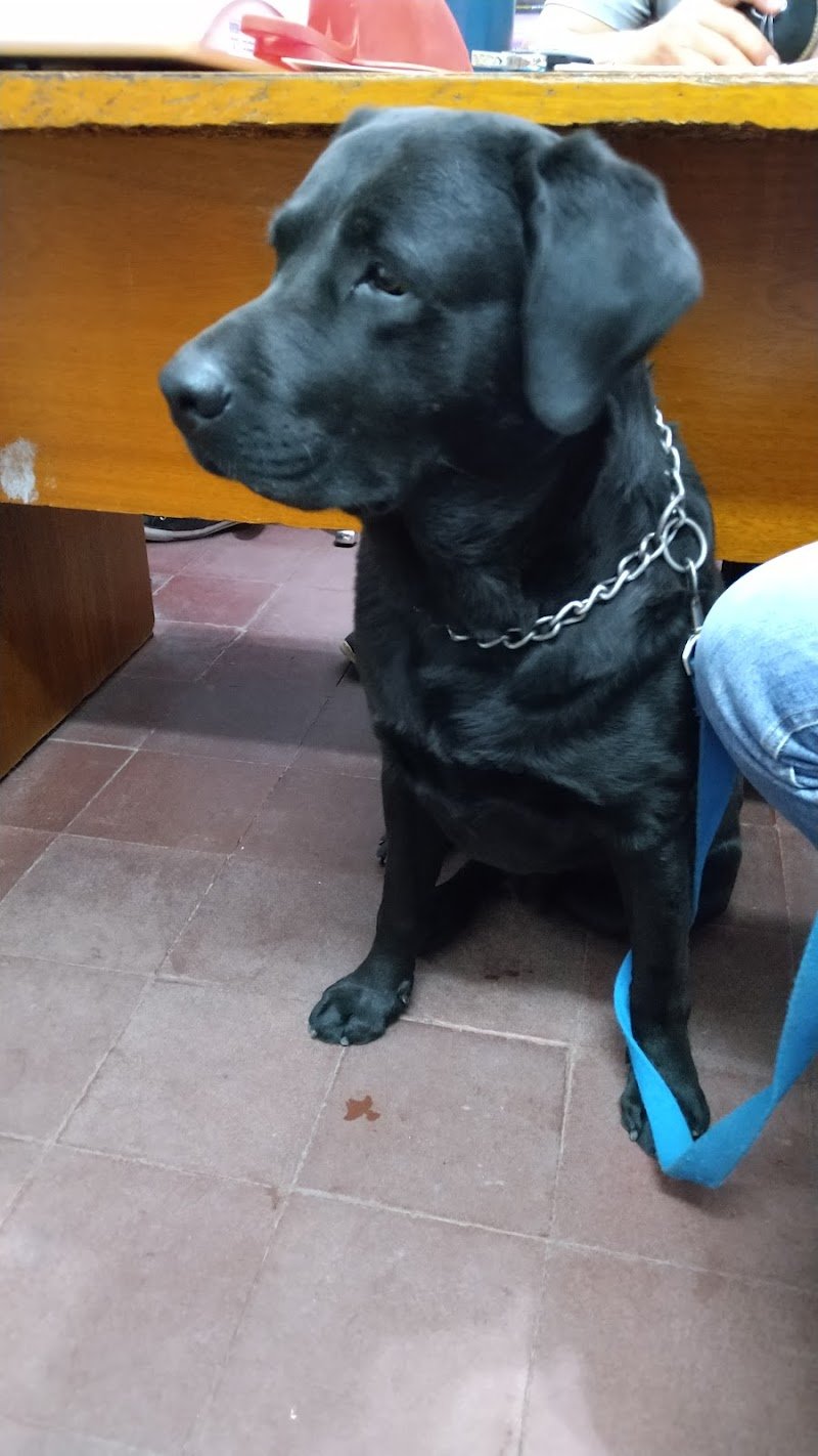 Veterinaria Coembá