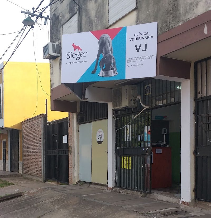 Veterinaria clinica VJ