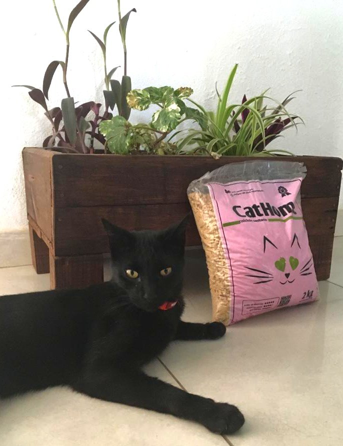 Sr.Bigotes PET SHOP