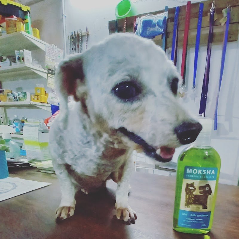 Agroveterinaria y Forrajeria NEAL