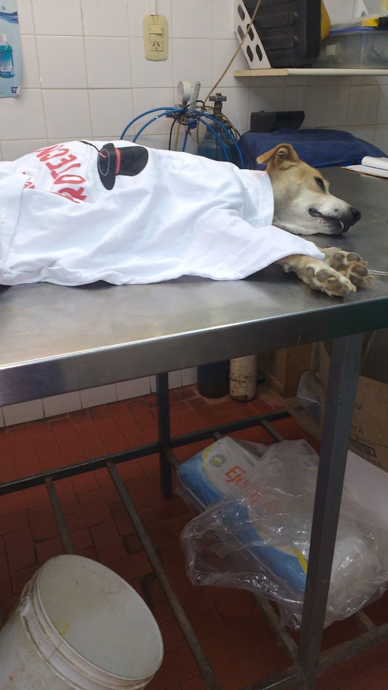 Veterinaria Fernando