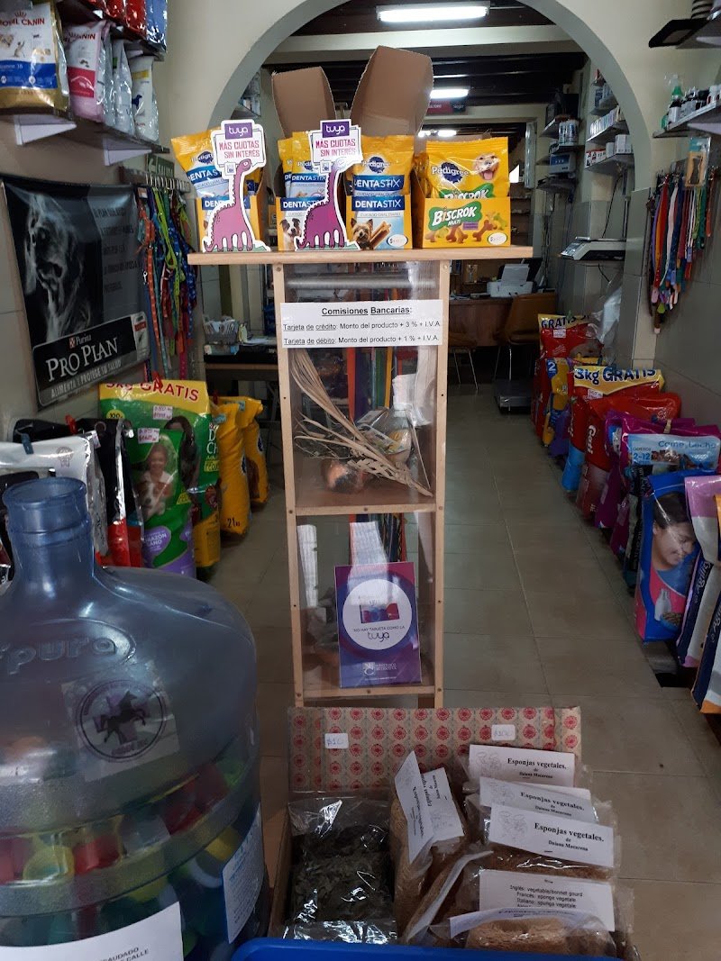 Clínica Veterinaria San Eloy