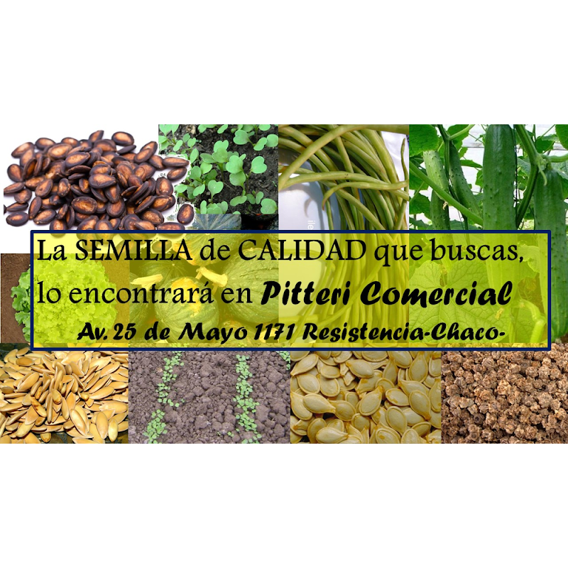 Pitteri Comercial