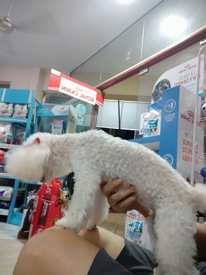 Veterinaria Sandri