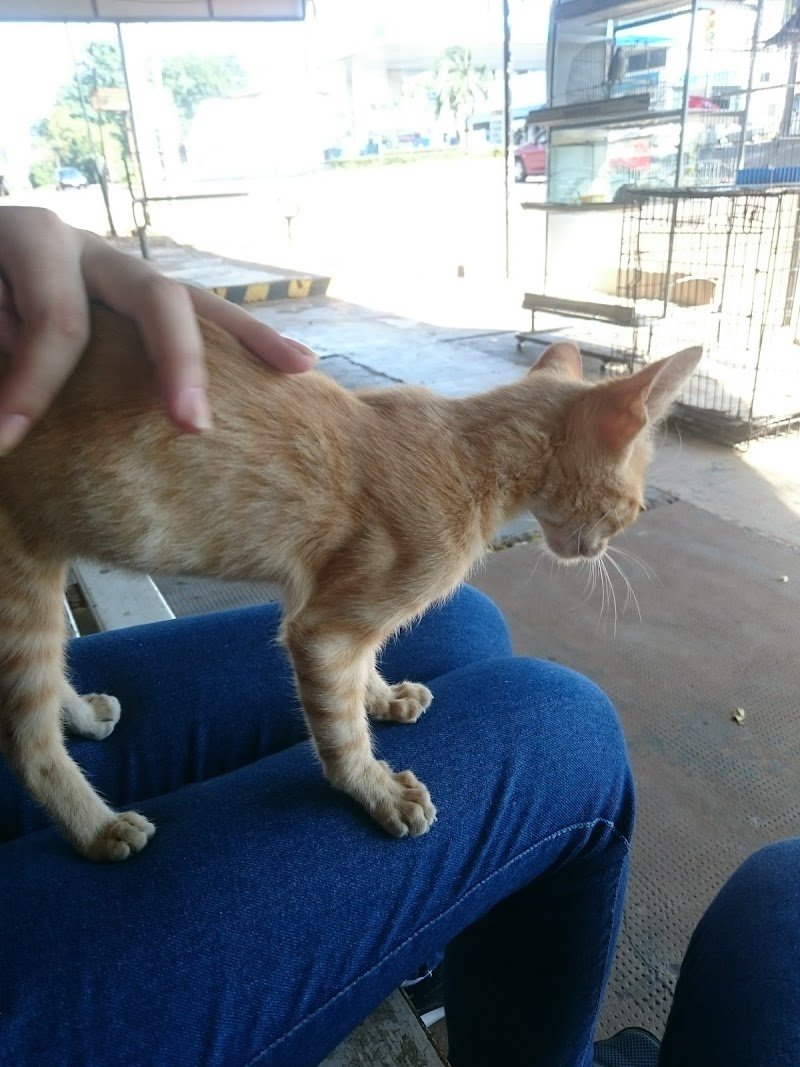 Veterinaria los Criadores
