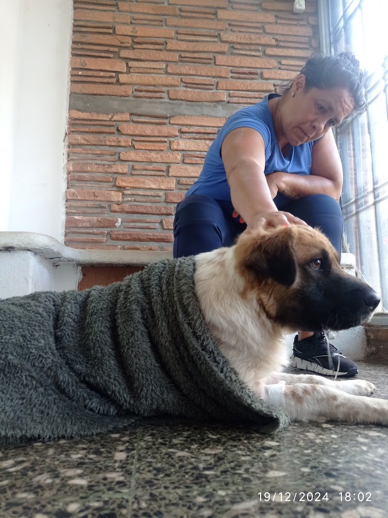 Consultorio Integral Belgrano