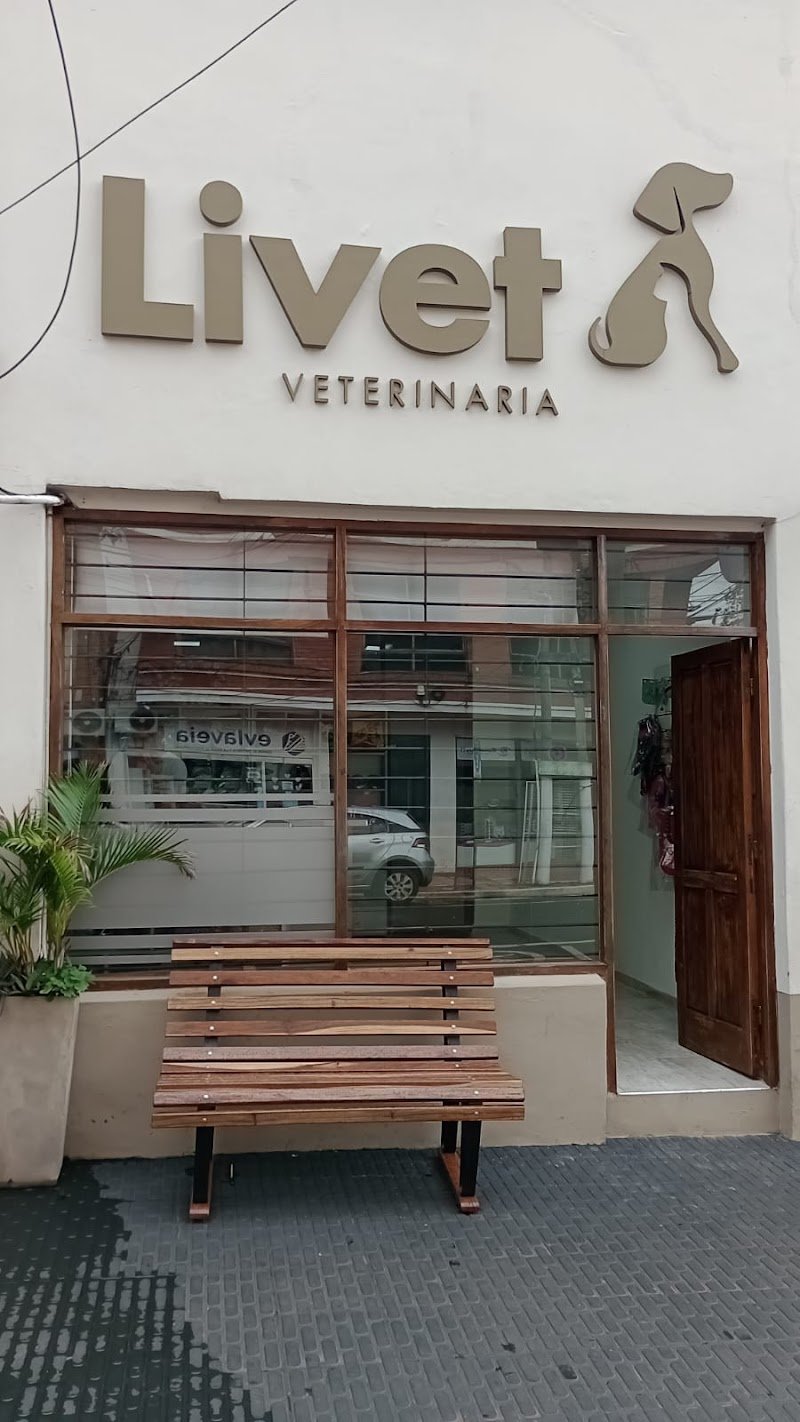 Prodent Insumos Odontológicos