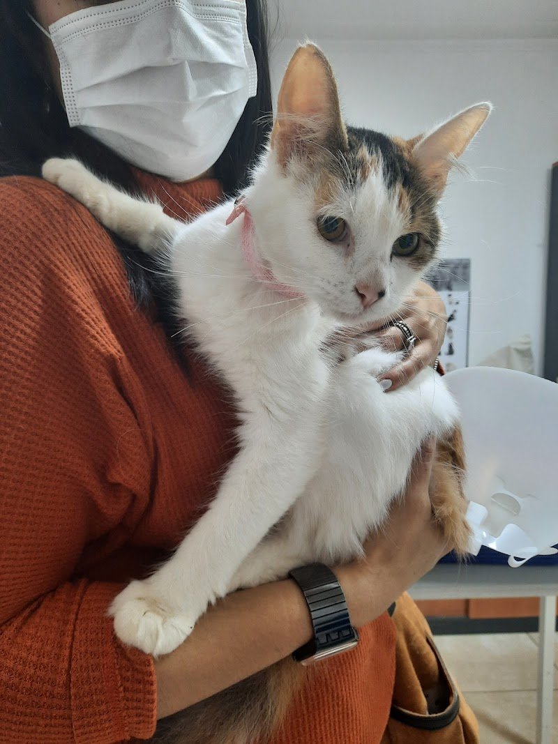 Animalia Clínica Veterinaria