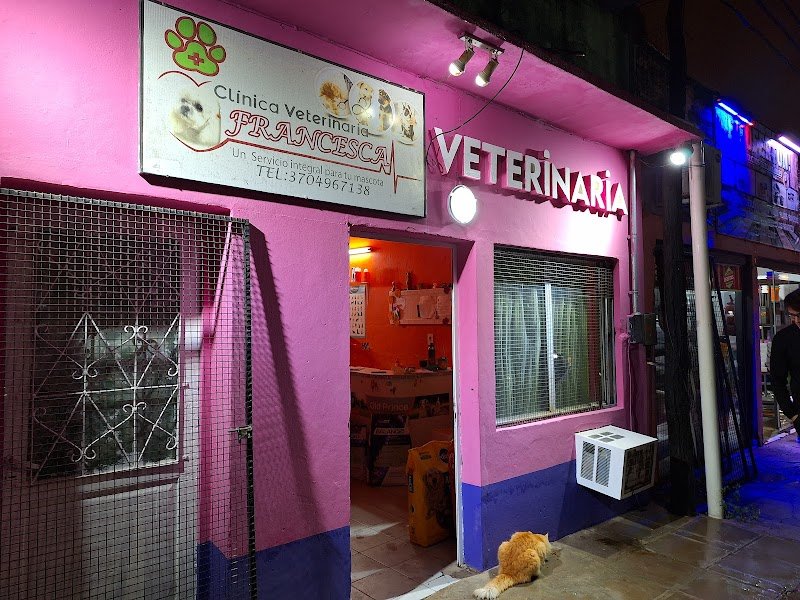 Clinica Veterinaria Francesca
