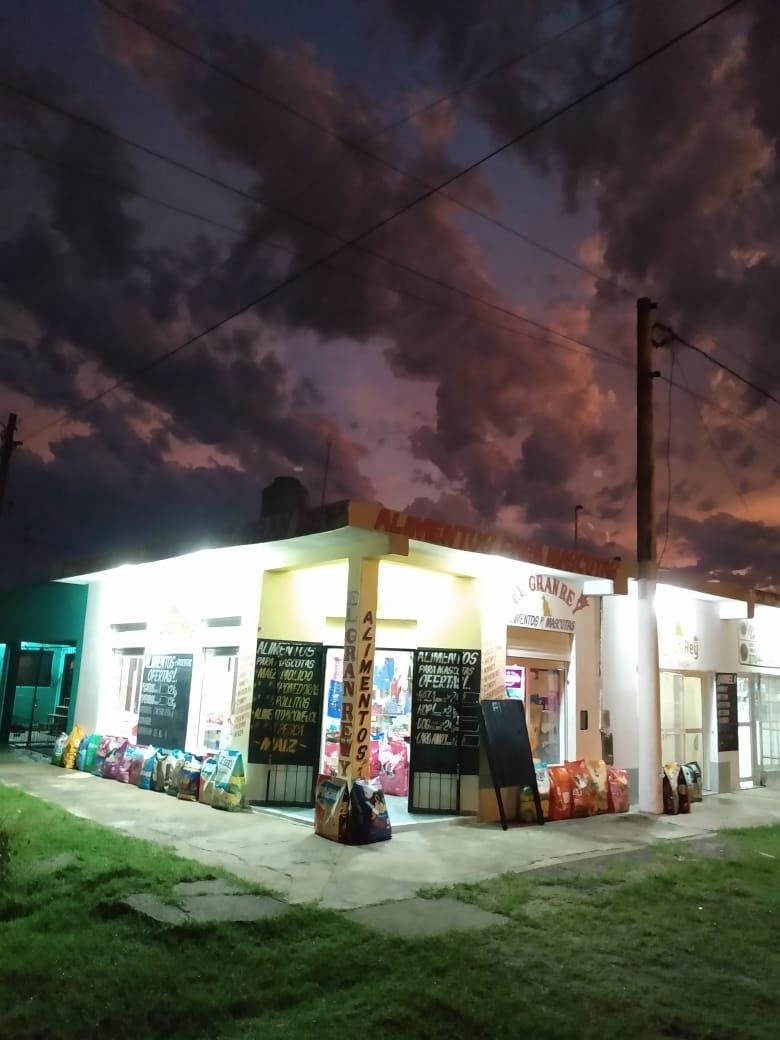 El gran Rey