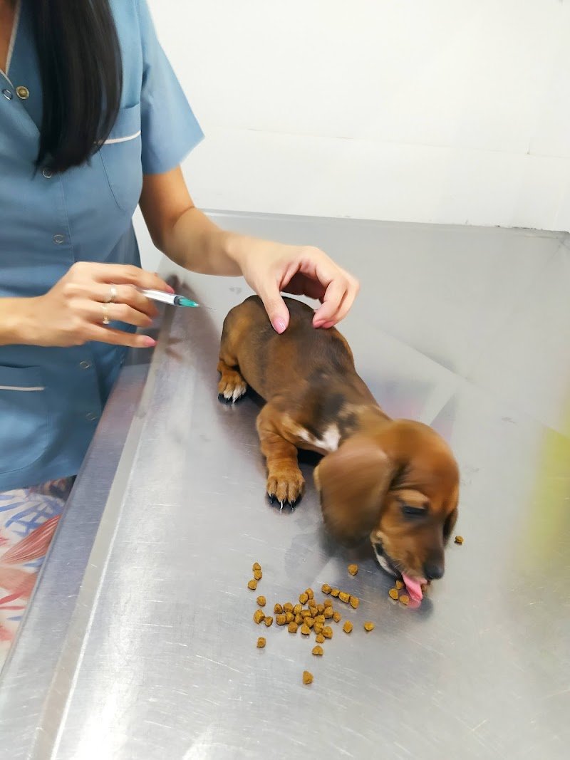 Consultorio veterinario Cruz Del Norte