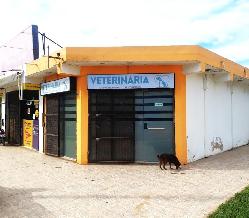 Veterinaria- La Esquina de tu Mascota