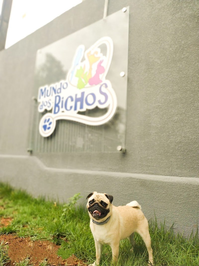 Clínica Veterinária Mundo dos Bichos