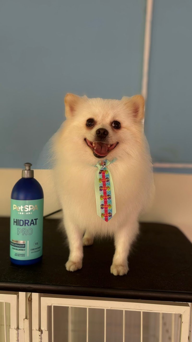 Pet Clean Peluquería Canina
