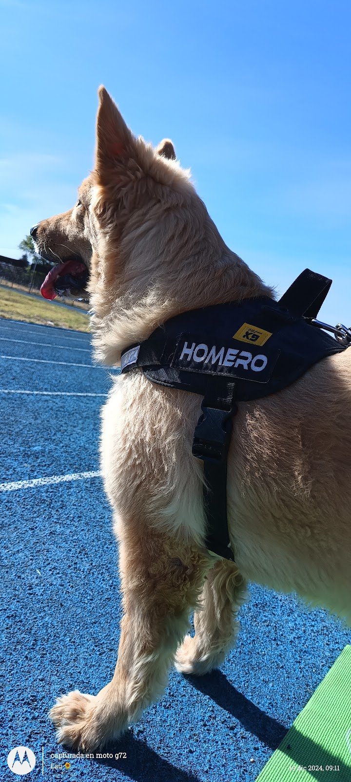Albeitar. Clínica de Mascotas