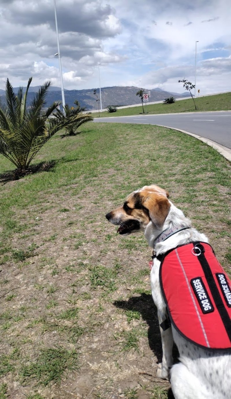 VETERINARIA LA PAMPA