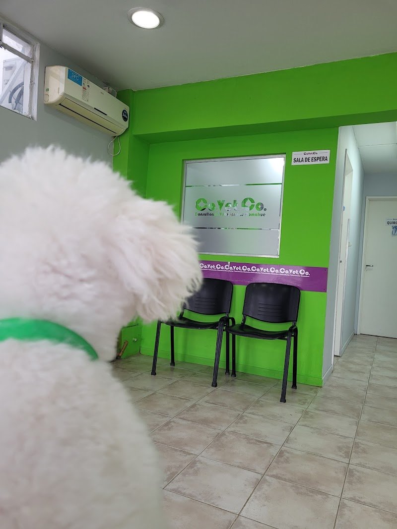 Veterinaria Co.Vet.Co - Dr Fabian Perez Dra Curone Ivanna